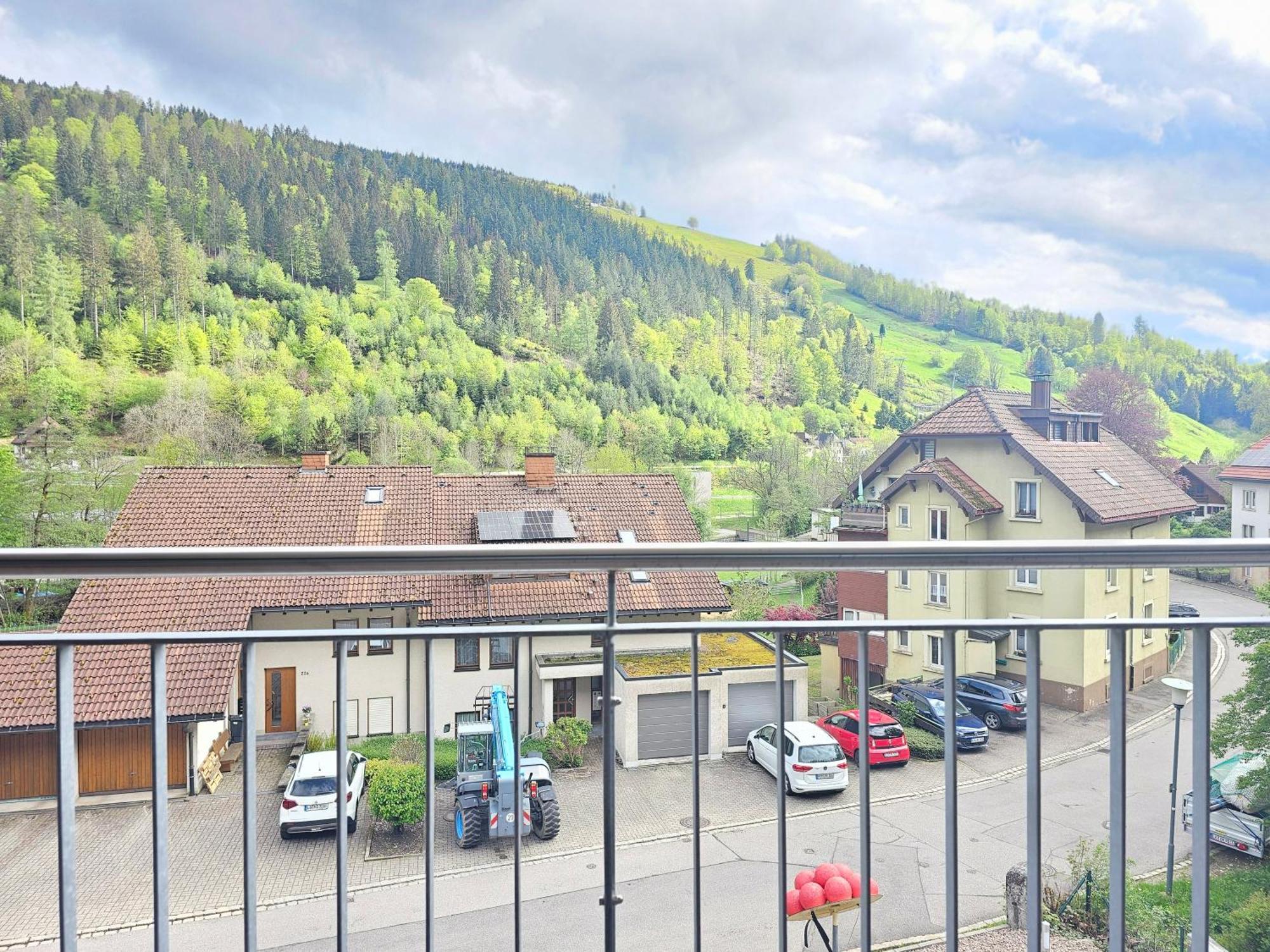 Black Forest I Sauna Auf Dem Balkon I Boxspring I Nespresso I Ausblick I Wasserfaelle Im Ort Todtnau Exterior photo